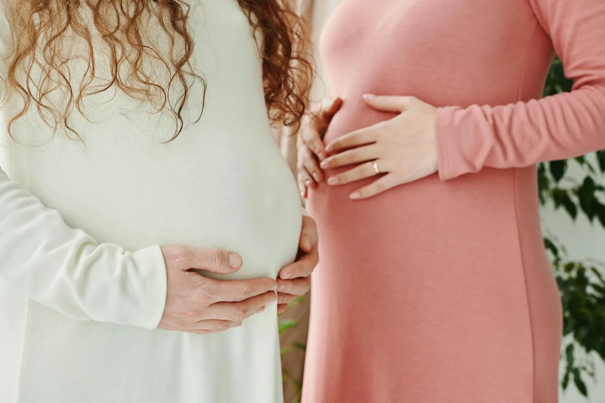 编目工作台，对应策展组字段编目环节的登记与核对场景